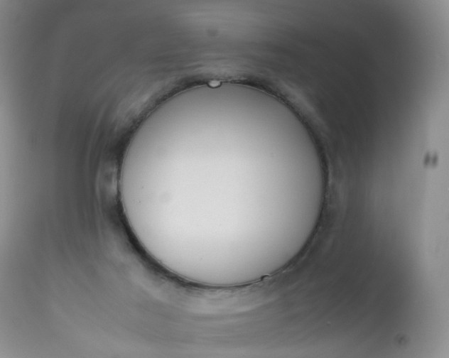 X0000112530021200908311433