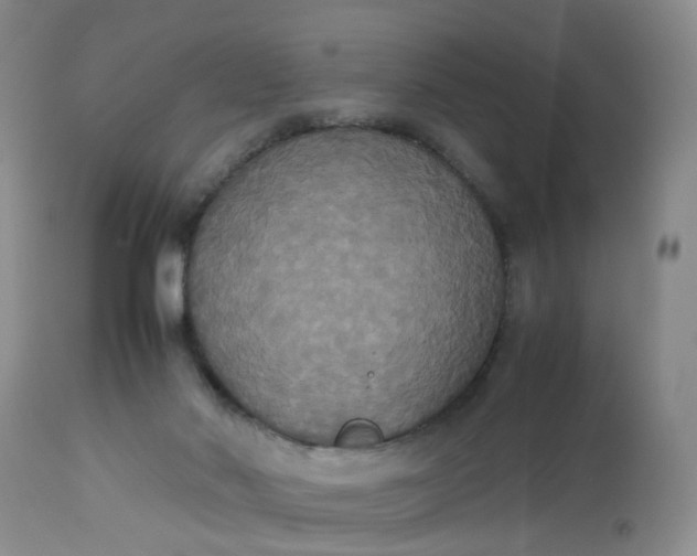 X0000112530022200908311433
