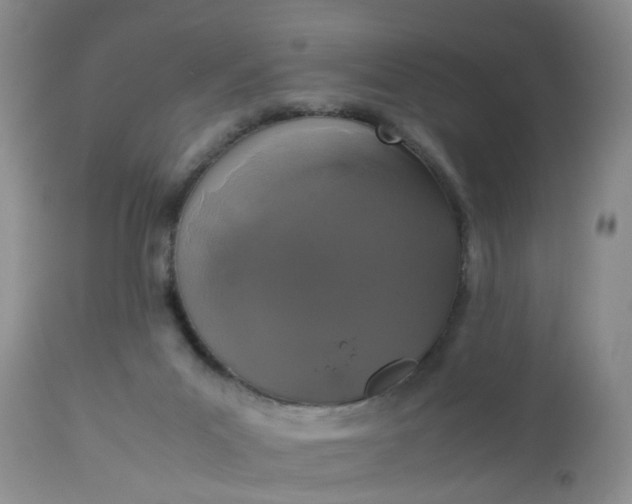 X0000112530023200908311433