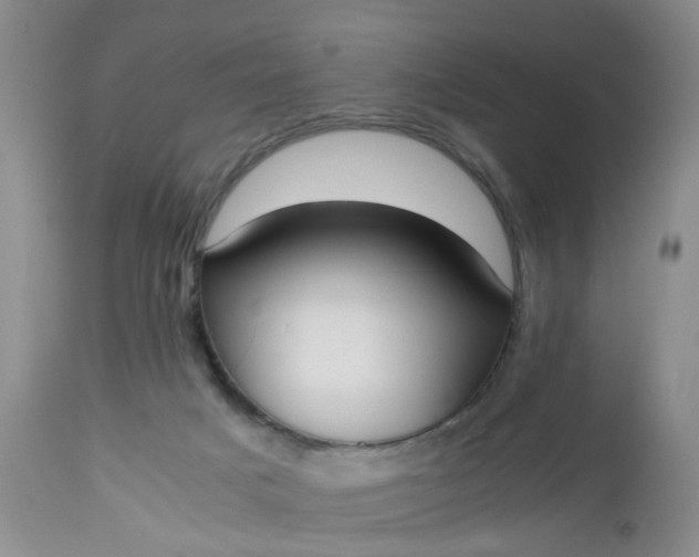 X0000112530025200908311433