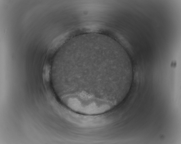 X0000112530026200908311433