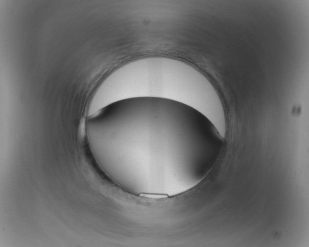 X0000112530027200908311433