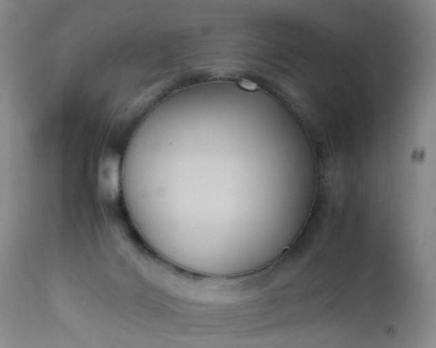 X0000112530028200908311433