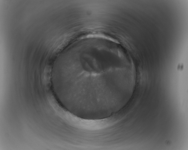 X0000112530030200908311433