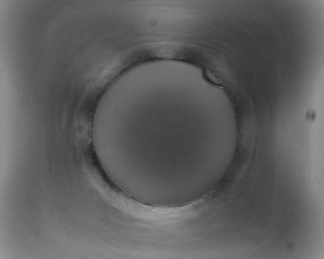 X0000112530031200908311433