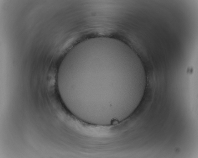X0000112530032200908311433