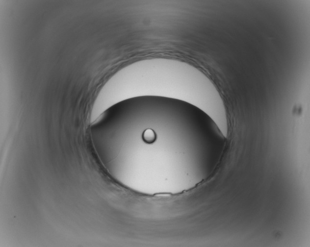 X0000112530033200908311433
