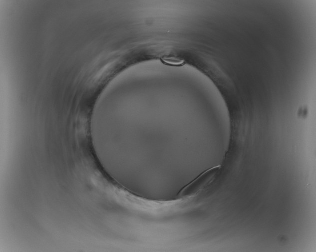 X0000112530035200908311433