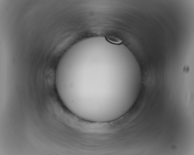 X0000112530036200908311433