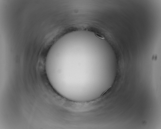 X0000112530037200908311433
