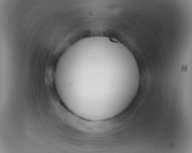 X0000112530038200908311433