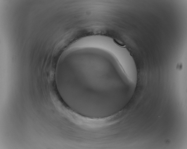 X0000112530039200908311433