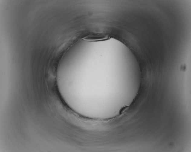 X0000112530040200908311433