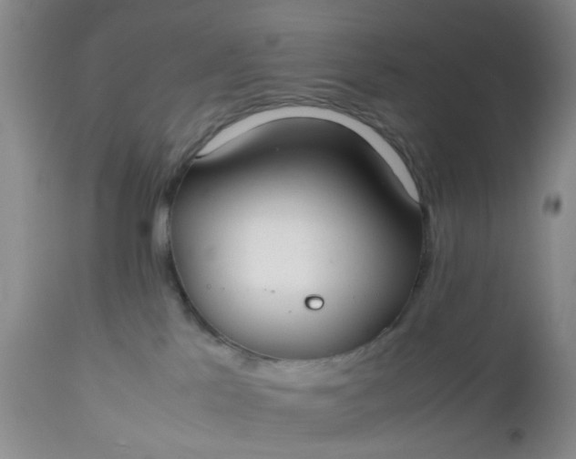 X0000112530041200908311433