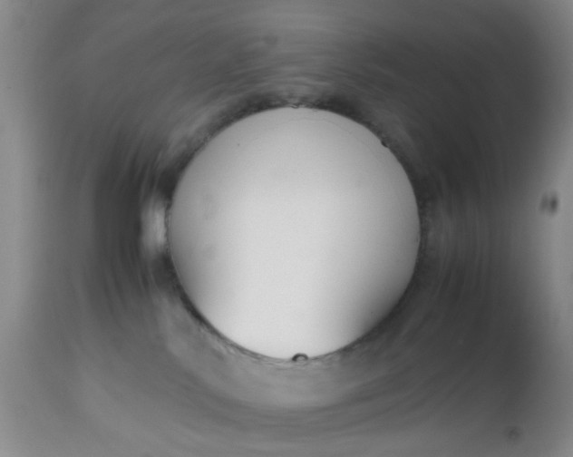X0000112530042200908311433