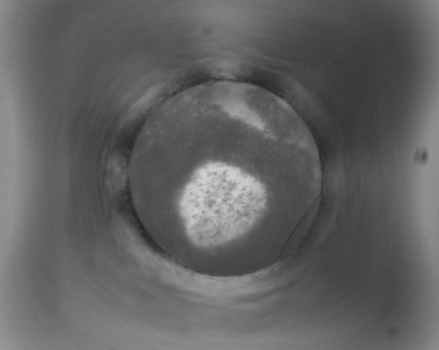 X0000112530043200908311433