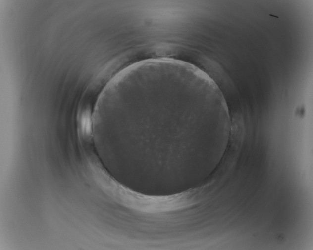 X0000112530046200908311433