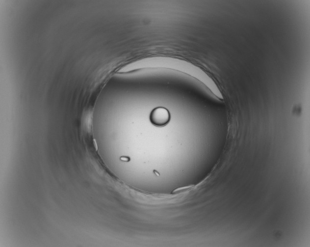 X0000112530047200908311433