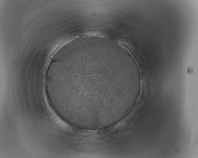 X0000112530049200908311432