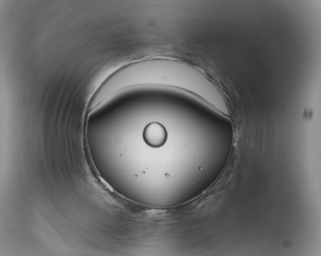 X0000112530052200908311432