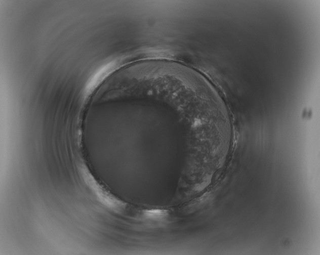X0000112530053200908311432