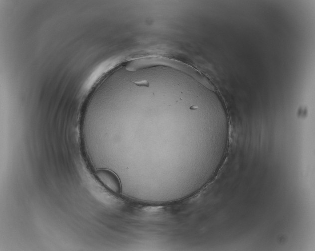 X0000112530054200908311432