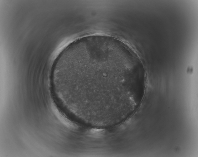 X0000112530055200908311432