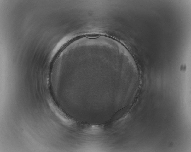 X0000112530056200908311432