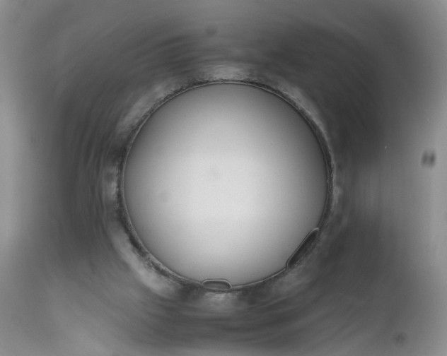 X0000112530057200908311432