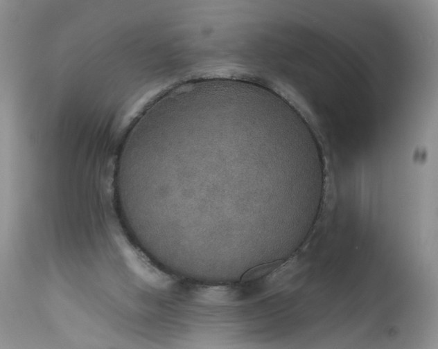 X0000112530058200908311432