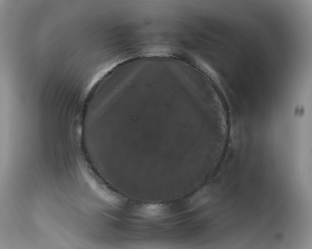 X0000112530059200908311432