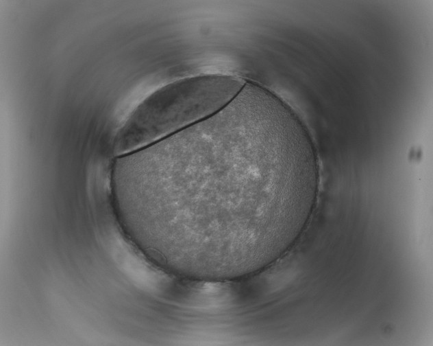 X0000112530060200908311432