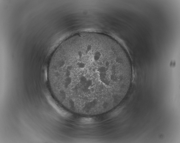X0000112530061200908311432