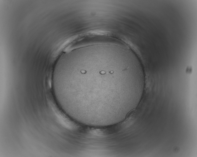 X0000112530062200908311432