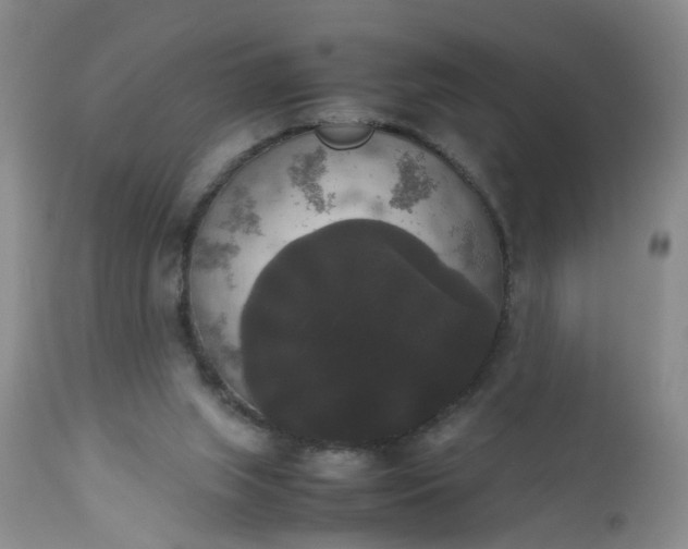 X0000112530063200908311432