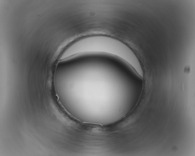 X0000112530064200908311432