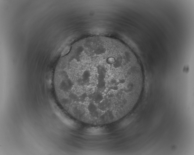 X0000112530065200908311432
