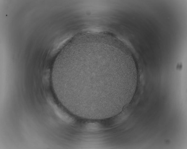 X0000112530066200908311432
