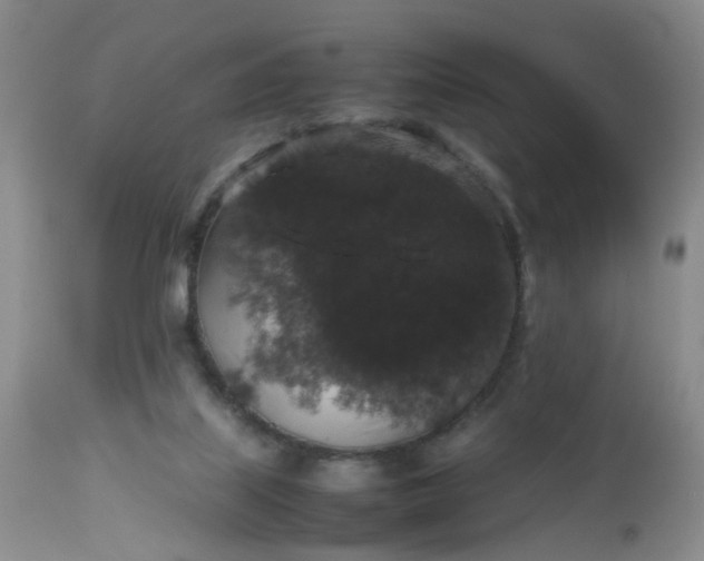 X0000112530067200908311432