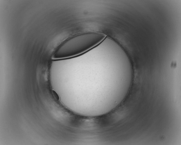 X0000112530068200908311433