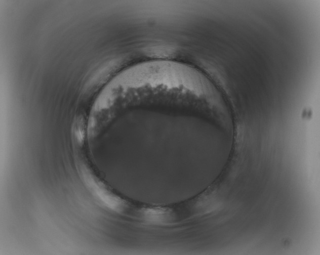 X0000112530069200908311433