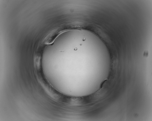 X0000112530070200908311433