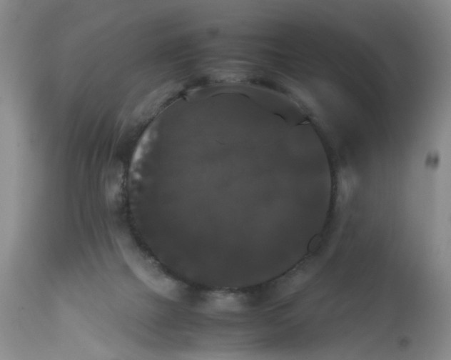 X0000112530073200908311433