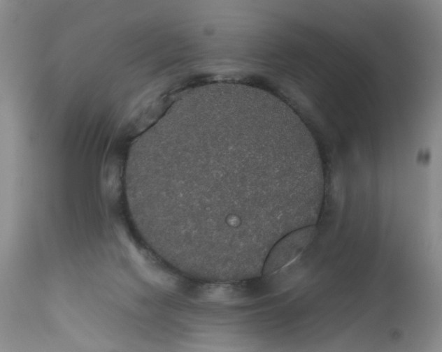 X0000112530074200908311433