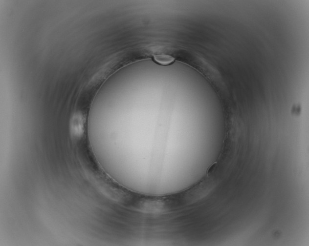 X0000112530075200908311433