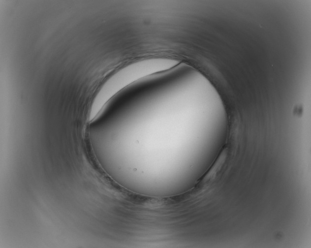 X0000112530076200908311433