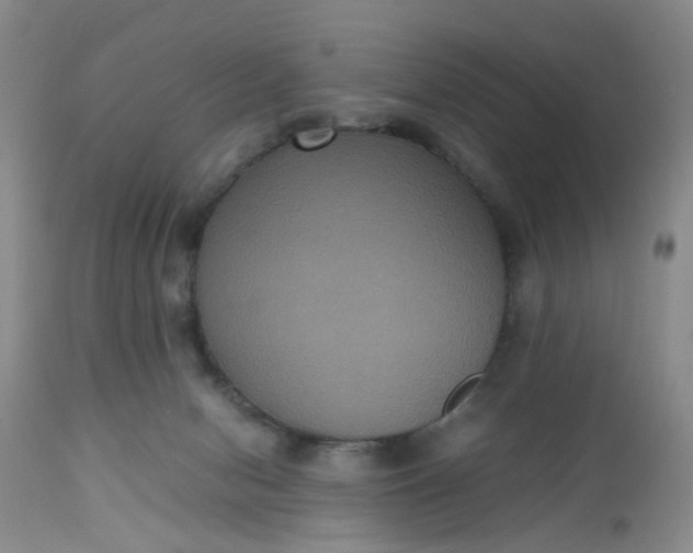 X0000112530078200908311433
