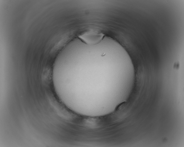 X0000112530079200908311433