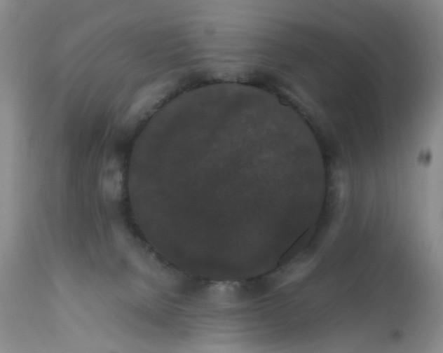 X0000112530080200908311433