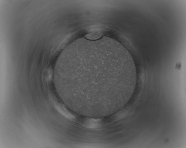 X0000112530081200908311433